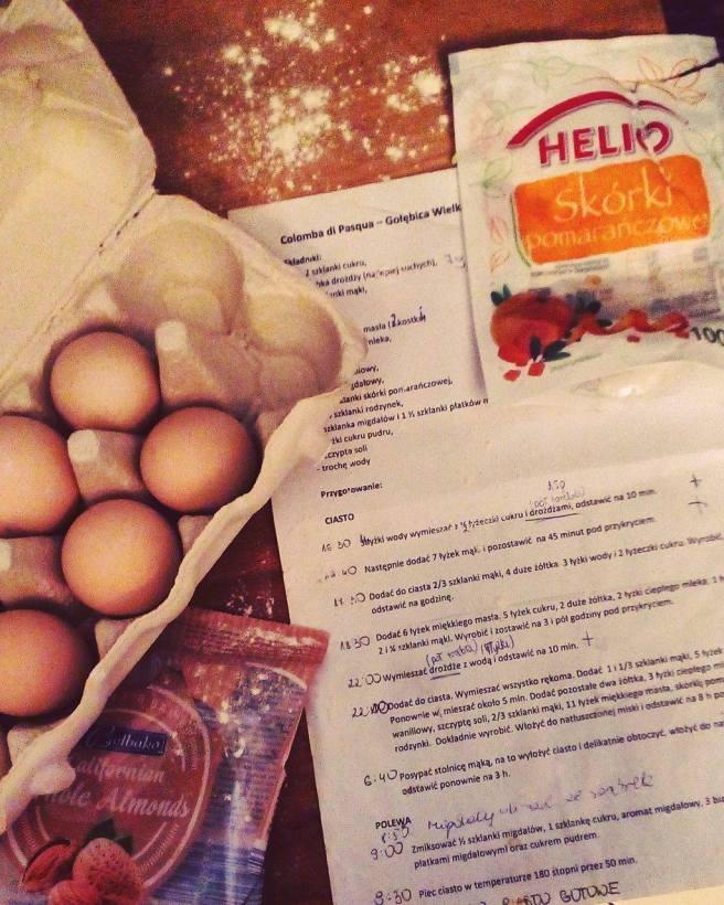 17975940_10206955442323263_331096707_o